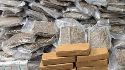 Operação conjunta apreende 40 kg de drogas na Via Dutra, no Sul do Rio