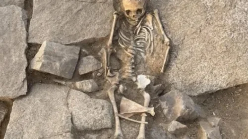 Cemitério da Idade do Ferro é descoberto em parque arqueológico no Cazaquistão