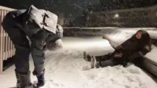 Groenlandeses viralizam ao satirizar crise do fentanil nos EUA em vídeo