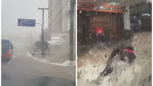Temporal causa alagamentos e derruba árvores em Belo Horizonte (MG)