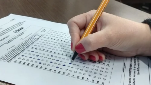 Concursos Públicos: Estude Enquanto o Carnaval Agita o País