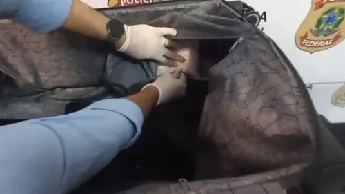 Paraguaio é preso com 2 kg de cocaína no Aeroporto do Galeão (RJ)