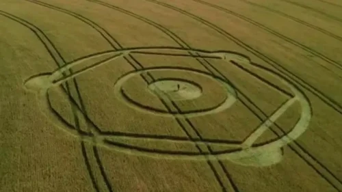 Marca inexplicável surge em campo de trigo e intriga moradores no interior