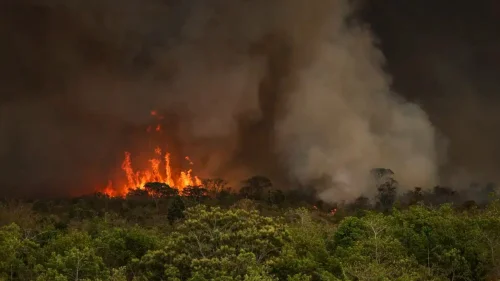 Defesa Civil de SP alerta para risco extremo de queimadas no fim de semana