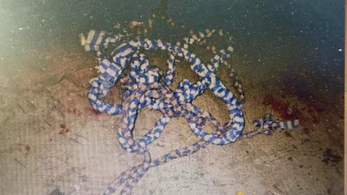 Preso mata e esquarteja colega de cela por intolerância sexual em presídio de MG