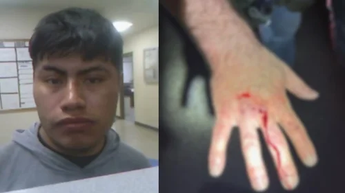 Imigrante morde agente do ICE ao resistir à prisão nos Estados Unidos