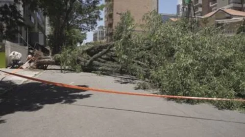 Enel SP acumula R$ 374 milhões em multas da Aneel e não pagou 92% do valor