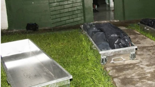 Caso Macabro: Ossadas Humanas e Gatos Congelados Encontrados em Freezer