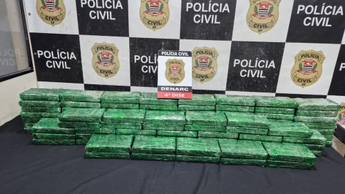 Polícia apreende 109 kg de cocaína em galpão de reciclagem na zona leste de SP