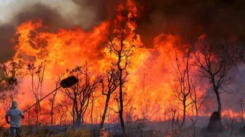Defesa Civil alerta para risco elevado de queimadas em 12 estados brasileiros