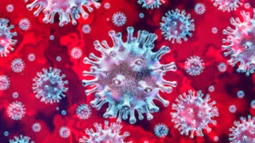 Cientistas Chineses Revelam Novo Coronavírus com Potencial Contagioso