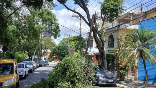 Ventos de até 90 km/h deixam 600 mil sem luz e causam 519 ocorrências em SP