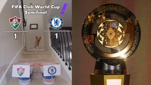 Cão vidente prevê Fluminense como finalista do Mundial de Clubes contra Chelsea