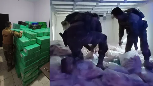 PRF apreende 5,3 toneladas de maconha escondidas em carga de peixes congelados em SP