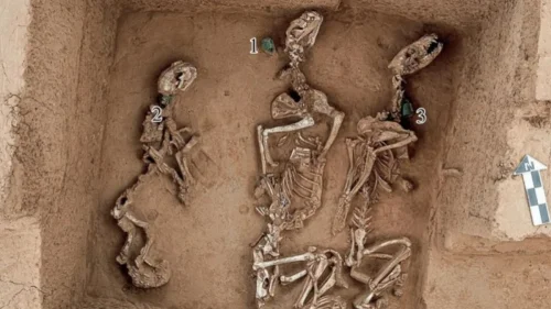 Fósseis na China sugerem existência de zoológico primitivo há 3 mil anos