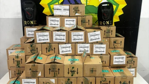 Operação combate grupo que vendia cetamina veterinária como droga alucinógena