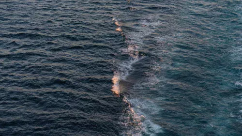 Correntes marinhas influenciam clima global e ecossistemas marinhos