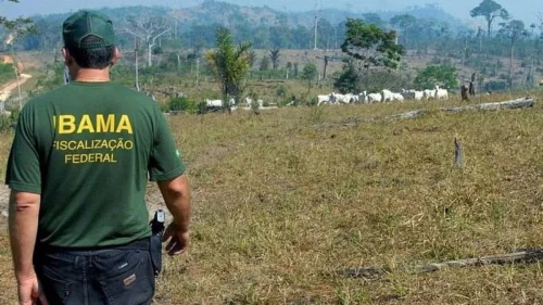 Ibama e Incra abrem inscrições para concurso com 60 vagas nesta segunda