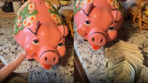 Mulher encontra mais de R$ 10 mil em cofrinho comprado por R$ 60 em brechó