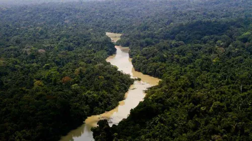 Rios voadores da Amazônia transportam umidade e regulam clima no Brasil