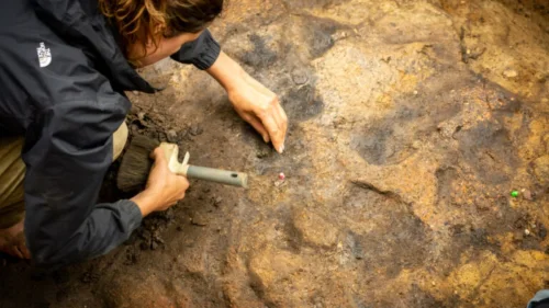 Estudo revela que humanos controlavam fogo há 400 mil anos no leste da Inglaterra