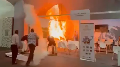 Relatório final da CPI dos Maus-tratos aprova 10 indiciamentos