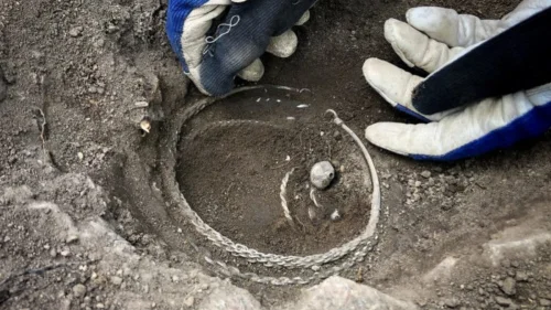 Tesouro viking com mais de 1.400 artefatos é descoberto em fazenda na Suécia