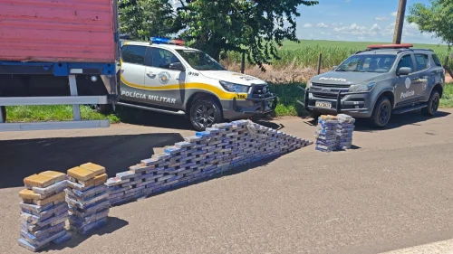 Apreensão de 258 kg de cocaína em Ourinhos causa prejuízo de R$ 13 milhões ao tráfico