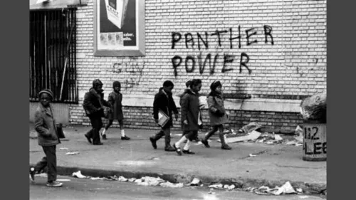 Grupos inspirados nos Panteras Negras ressurgem armados em protestos nos EUA