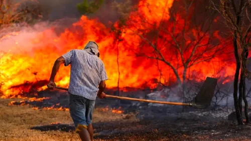 Câmara aprova aumento de penas para quem causar queimadas em florestas