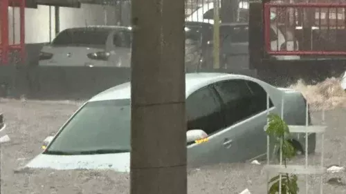 Chuvas de verão causam 12 mortes em SP; corpo de idosa é encontrado após temporal