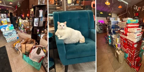 Comércios de Minnesota viram espaços comunitários em protesto contra operação do ICE