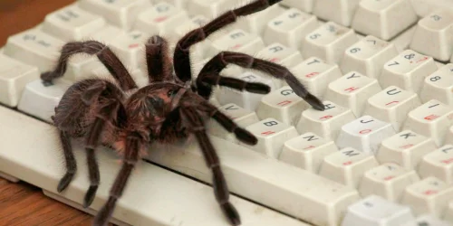 Empresas de IA intensificam coleta de dados na web e reduzem tráfego de referência