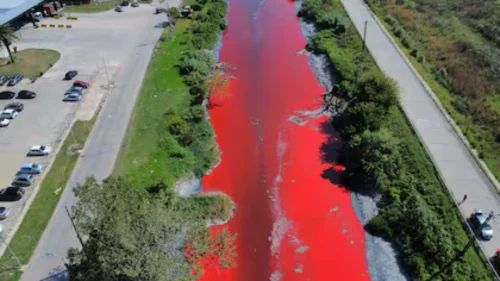 Córrego Vermelho Choca Moradores: Poluição Descontrolada em Sarandí!