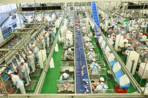 Acordo Mercosul-UE elevaria PIB brasileiro em US$ 9,3 bilhões até 2040, aponta estudo do Ipea