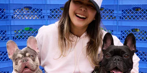 Mulher muda para bairro mais caro de Miami priorizando bem-estar de cães