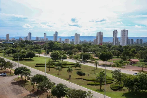 Consciência Negra: feriado nacional altera serviços públicos e bancários