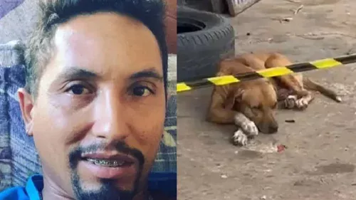 Cachorro aguarda por tutor morto a tiros em borracharia de Anápolis