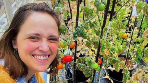 Astrobióloga brasileira cultiva alimentos em solo marciano com técnica milenar maia