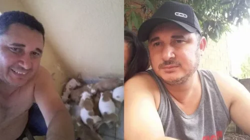 Cão da raça pitbull mata tutor em mais um caso de ataque doméstico