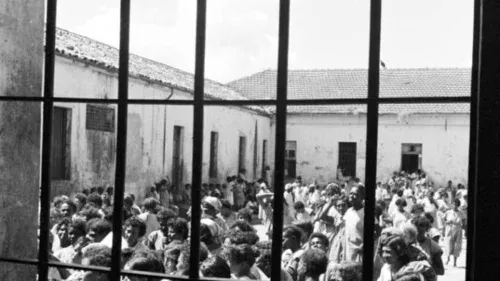 O pedido de desculpas da UFMG que reabre feridas do Holocausto Brasileiro: 1.853 corpos vendidos