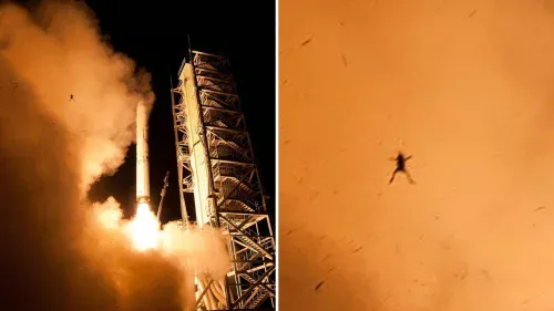Sapo é registrado "voando" durante lançamento de foguete da NASA em 2013