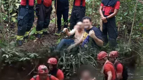 Piloto de avião que caiu após bater em urubu é encontrado vivo após 24h perdido na mata