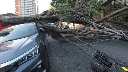 Vereador propõe fundo municipal para enterrar fiação elétrica em São Paulo