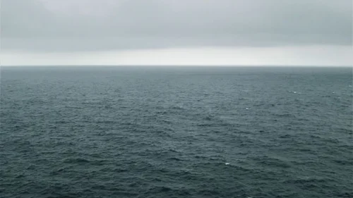 Cientistas descobrem peixes desconhecidos nas profundezas do oceano Atlântico