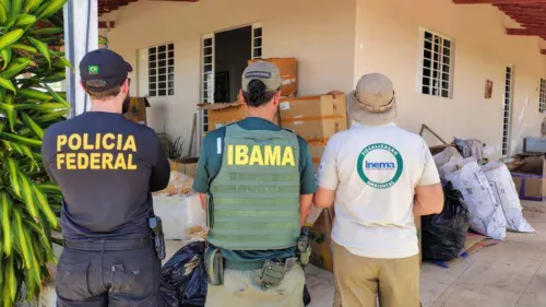 Operação apreende 1,5 tonelada de barbatanas de tubarão em galpão na Bahia