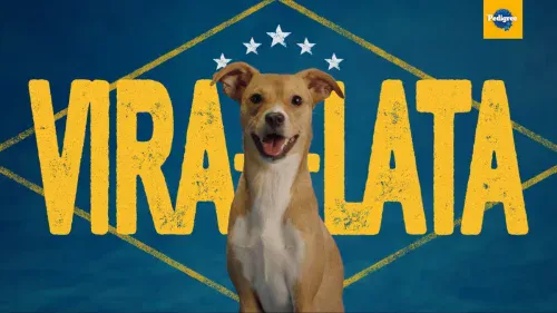 PEDIGREE e Ronaldinho transformam 'vira-lata' em orgulho nacional em campanha