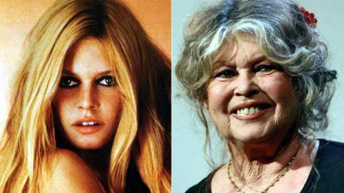 Brigitte Bardot: ativista dos animais rejeitou maternidade e afastou-se do filho