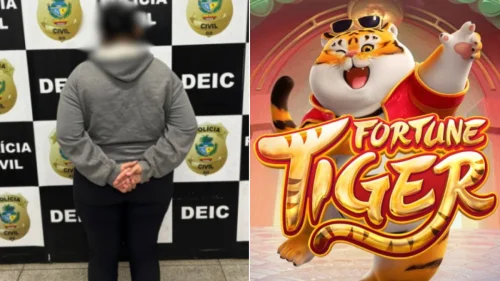 Diarista furta R$ 500 mil de patrões em Goiânia para apostar no Tigrinho