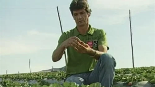 Viúva do "Rei do Morango" é condenada a 30 anos de prisão por assassinato